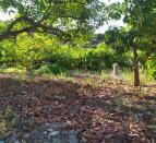 IMG-20260703-WA0007