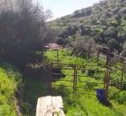 IMG-20260221-WA0046