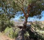 IMG-20260630-WA0079