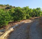 IMG-20260703-WA0008