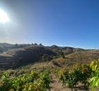 IMG-20260709-WA0055
