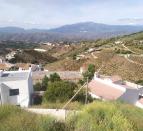IMG-20260519-WA0024