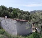 IMG-20210420-WA0038
