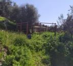 IMG-20260221-WA0048