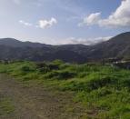 IMG-20260306-WA0029
