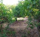 IMG-20260703-WA0010