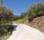 IMG-20260221-WA0050