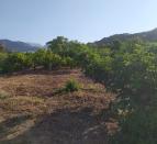 IMG-20260703-WA0012