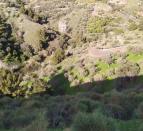 IMG-20260306-WA0032