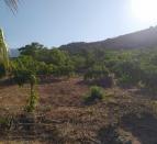 IMG-20260703-WA0013