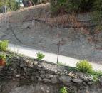 IMG-20261026-WA0098