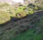 IMG-20260306-WA0033