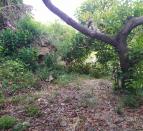 IMG-20260703-WA0014