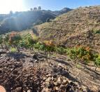 IMG-20260709-WA0061